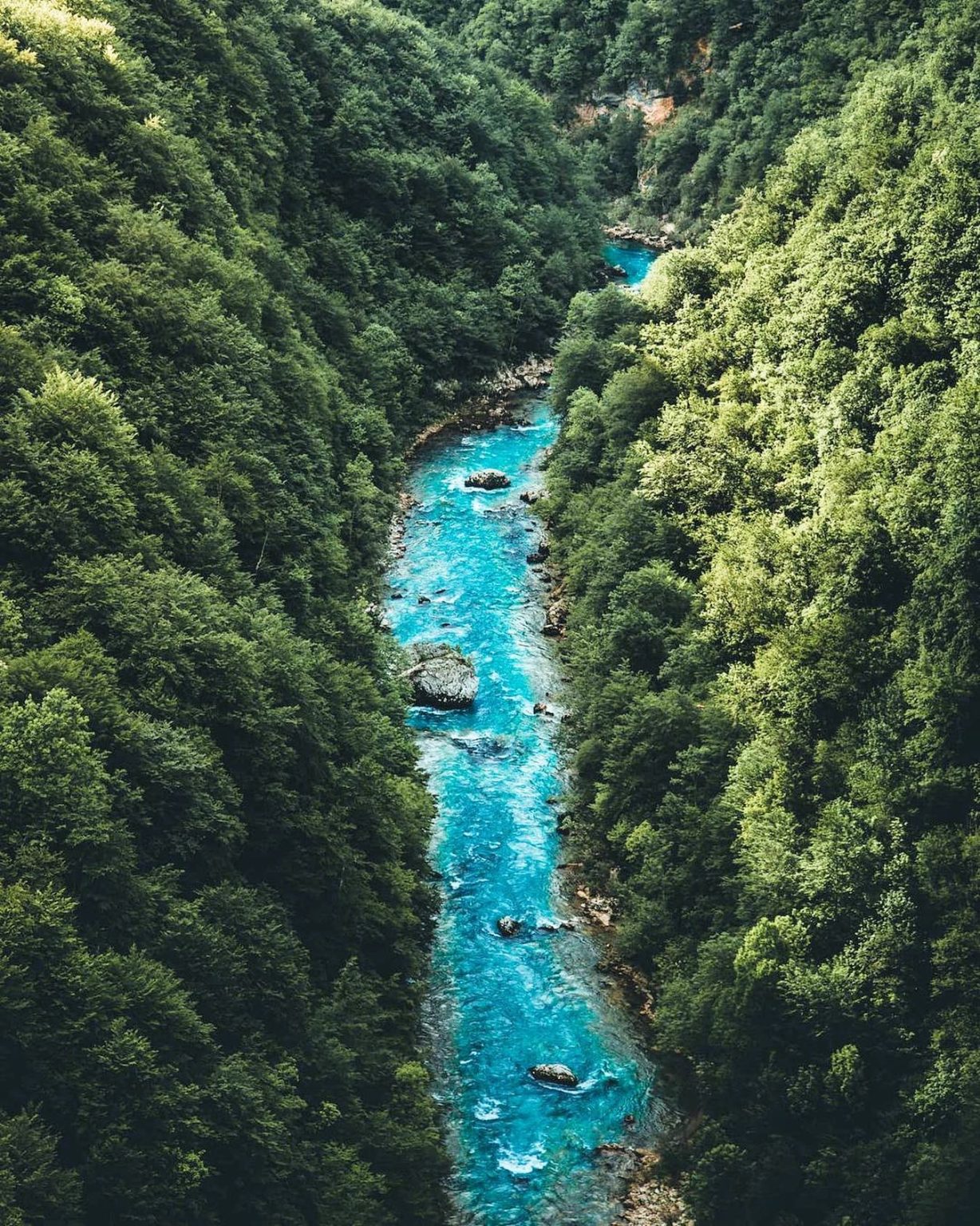 Pogled sa vrha u duboki kanjon rijeke Tare